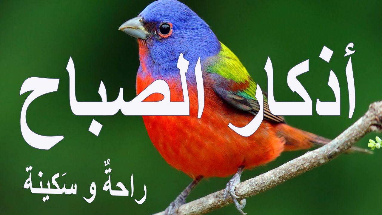 أذكار الصباح - راحة نفسية لا توصف بصوت القارئ علاء عقل | Morning Athkar - Dzkir Pagi