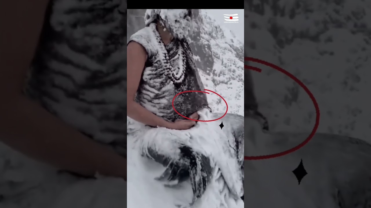 இன்பமற்ற யோகியை இருளும்&zwnj; வந்து அணுகுமோ║sivan whatsapp status tamil║#lordshiva #omnamasivaya