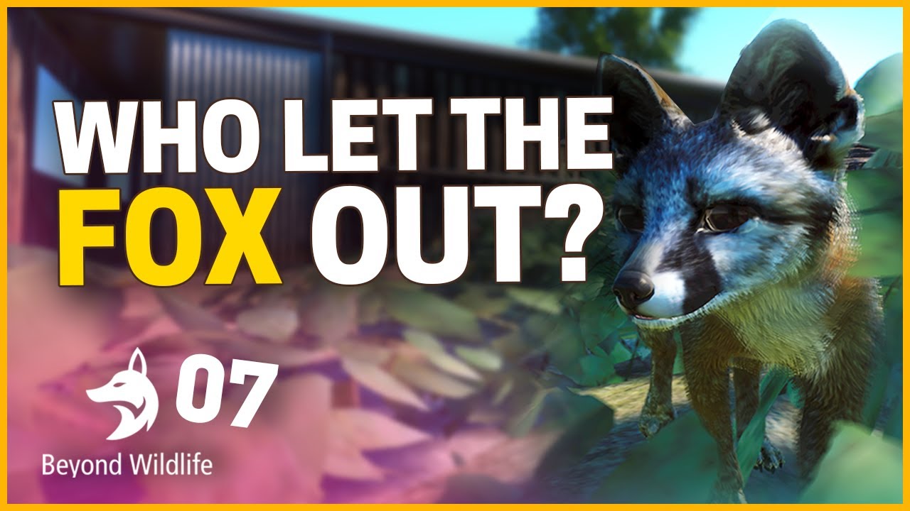 FOXIN' AROUND | Beyond Wildlife Park (ZSU) | Planet Zoo