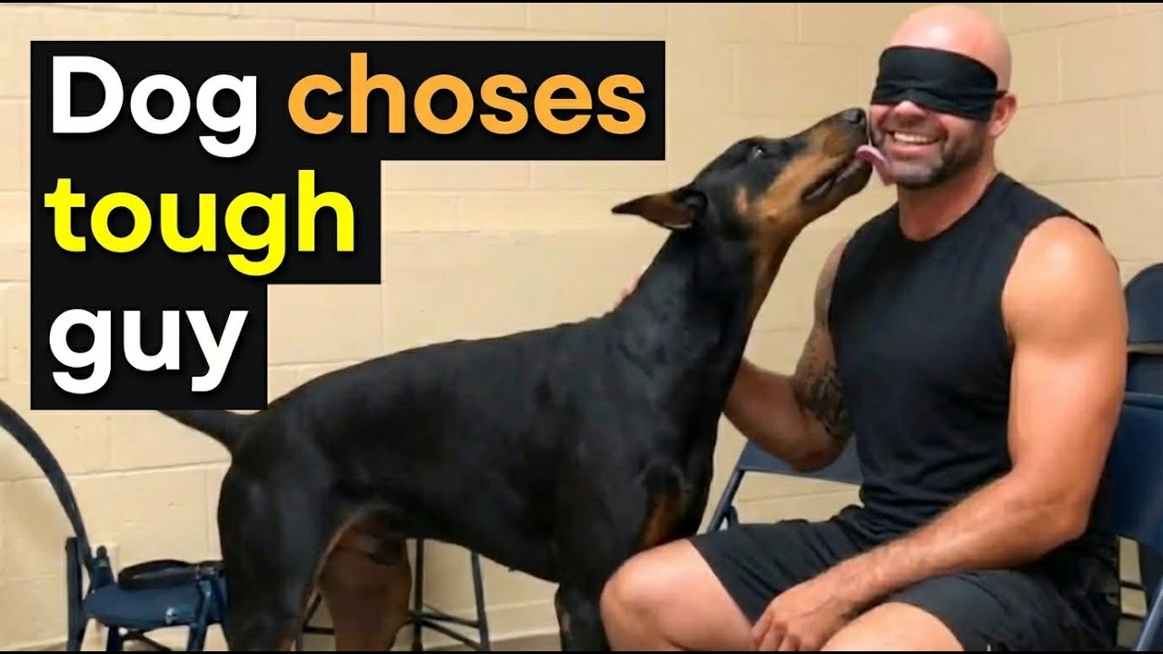 Every Dog Walked Past Everyone… Until This Moment - Adoption Moments