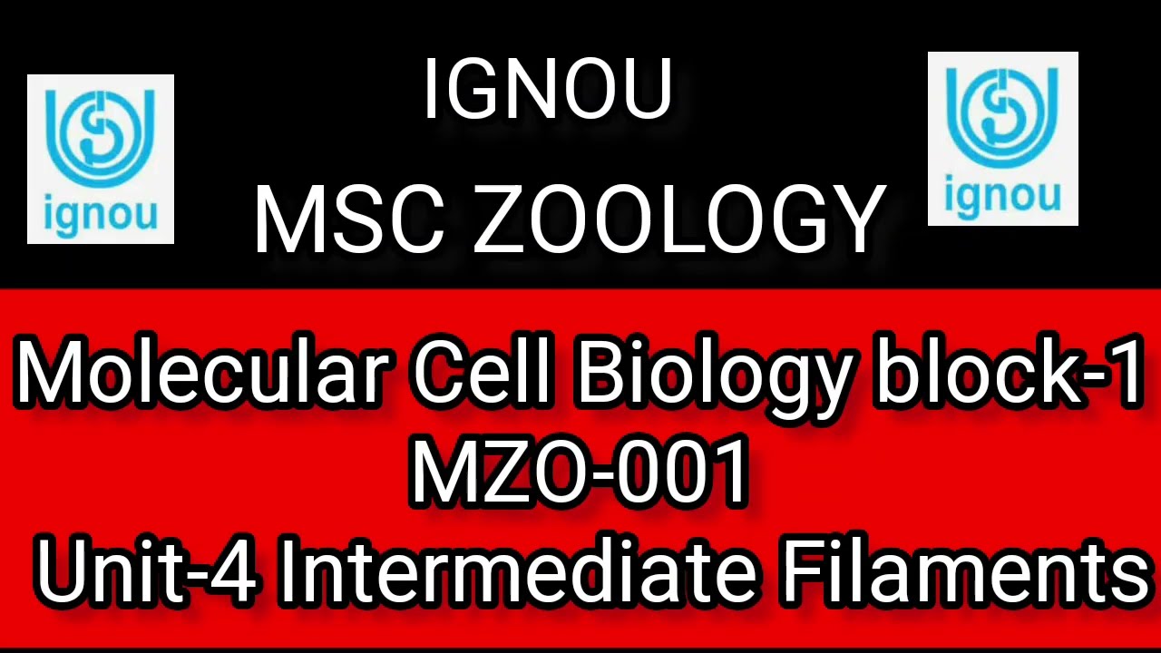 IGNOU| MSC ZOOLOGY| Molecular Cell Biology block-1| MZO-001| Unit-4 Intermediate Filaments|