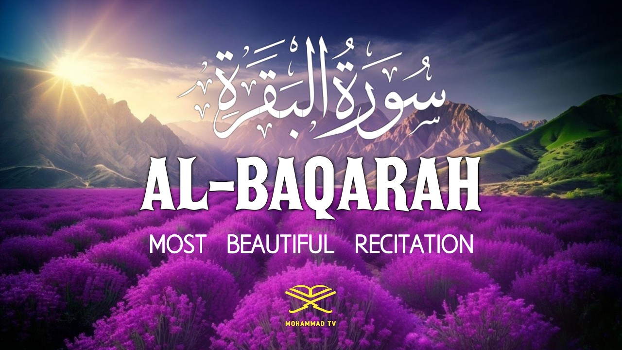 Surah Al-Baqarah سورة البقرة | Most Beautiful Recitation of Surah Baqarah | Mohammad TV