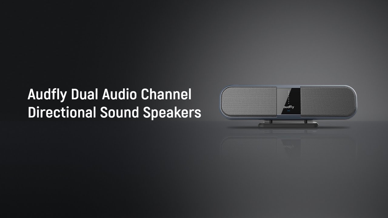 Audfly X2 ultrasonic directional speaker