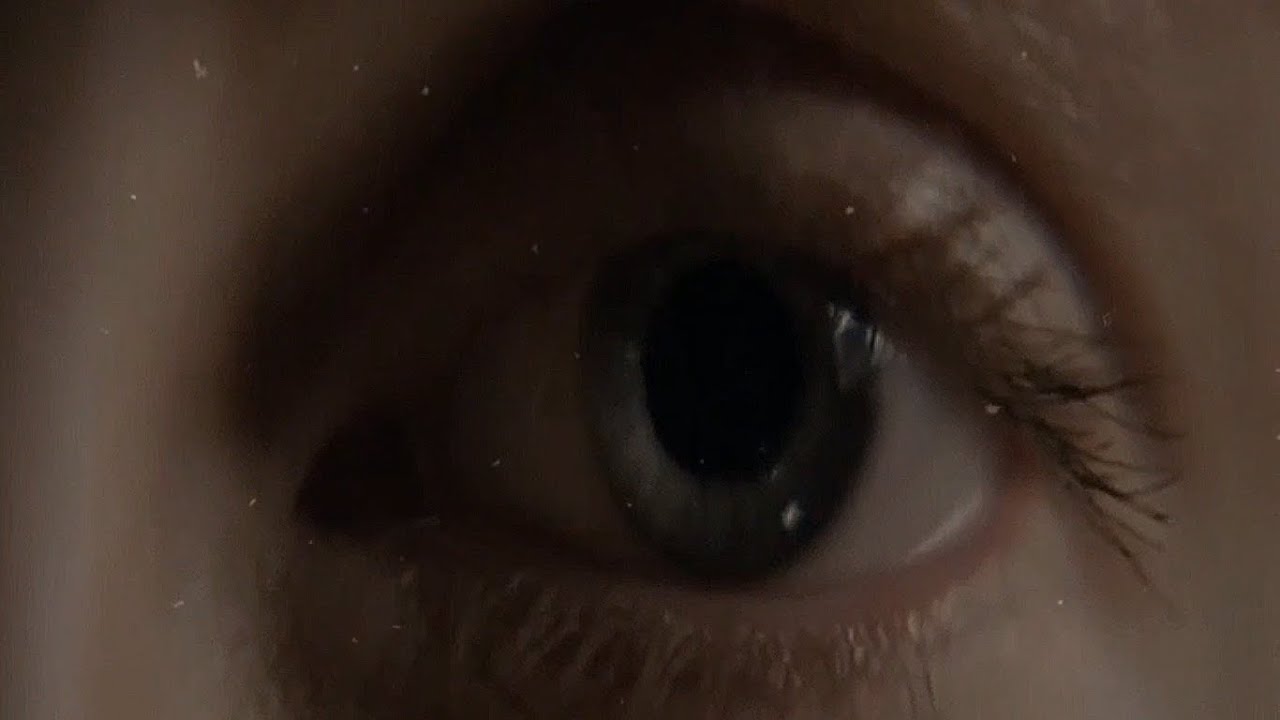 P L V G U E S - I ∆ M D &Xi; ∆ D ∆ N D L O O K I N G F O R L I F &Xi;