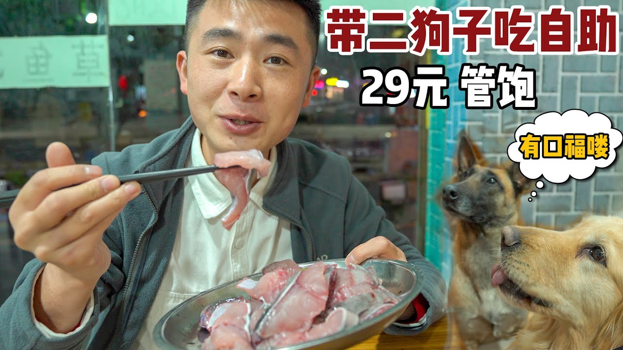 带着安妮和波妞吃自助，29元RMB一位大盘鱼肉，太划算！【小白的奇幻旅行】
