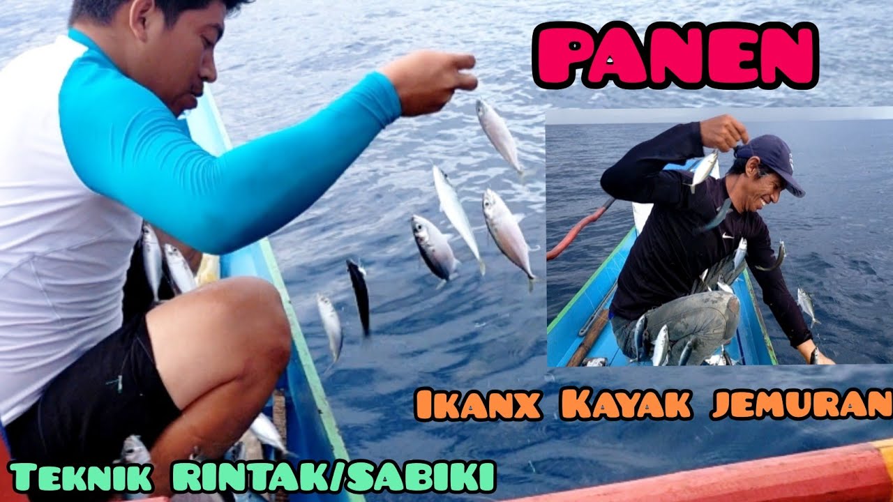 PANEN‼ IKANNYA KAYAK JEMURAN‼ Mancing Rintak/Sabiki #AnglerUmmumar