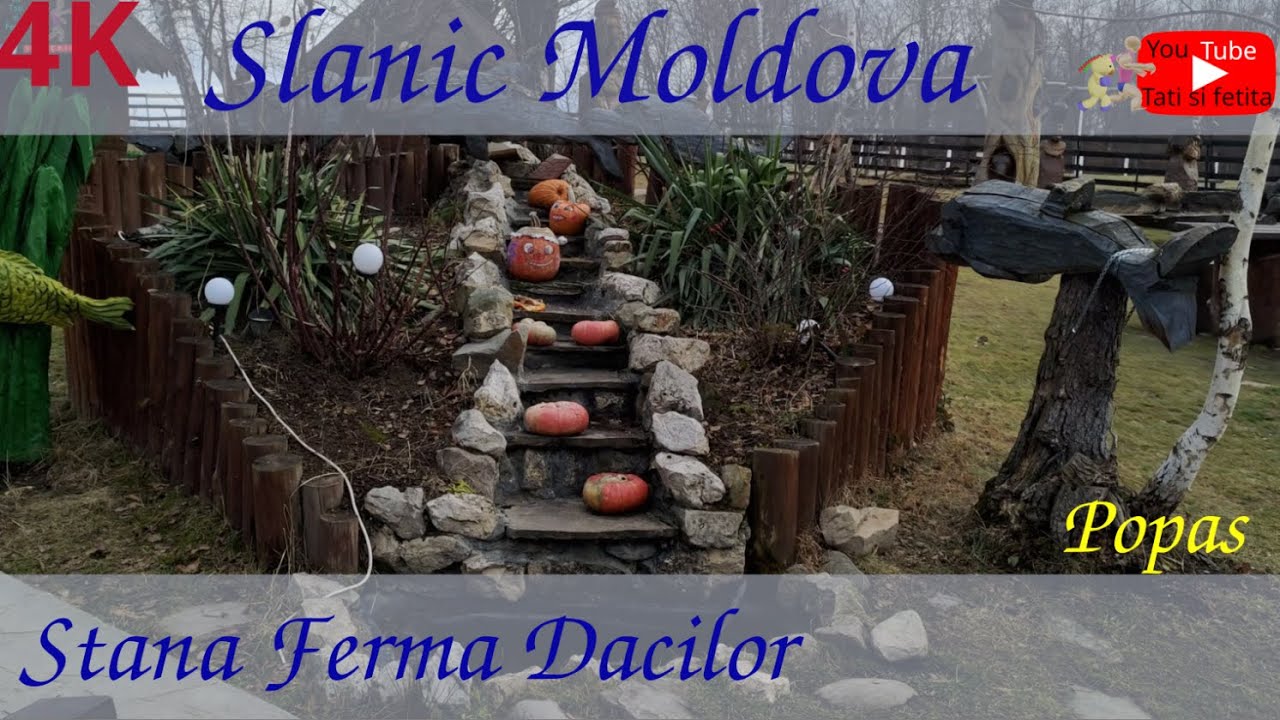 Stana Ferma Dacilor ~ Slanic Moldova ~ Bacau ~ 🇷🇴Romania ~ 4k