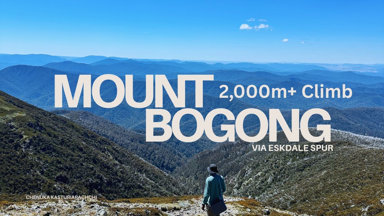 POV Hiking Mt Bogong | Victoria’s Highest & Toughest Alpine Mountain