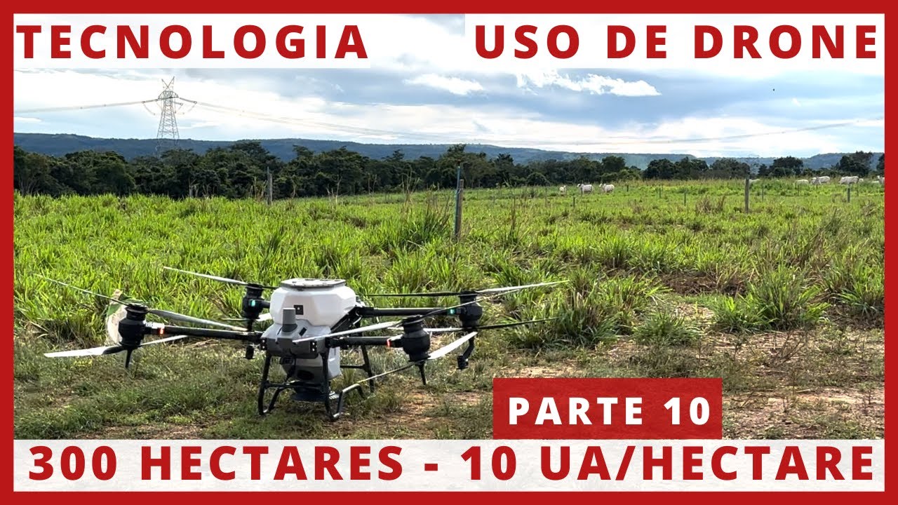 O MAIOR PROJETO DE ROTACIONADO, ADUBADO E IRRIGADO DO BRASIL - GRUPO MONTE SIÃO #10