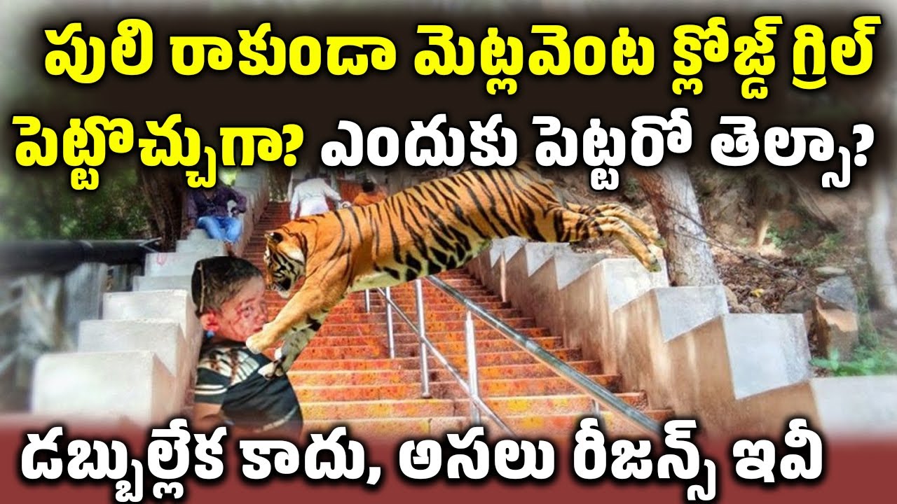 Tirumala Tiger Attack: పాపను చంపింది పులి కాదా? | Detail Edition Telugu