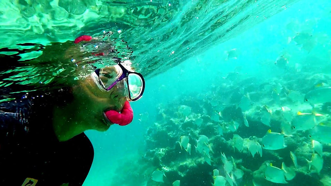 ISLA SANTA CAROLINA BAZARUTO VILANKULOS MOZAMBIQUE SNORKELING