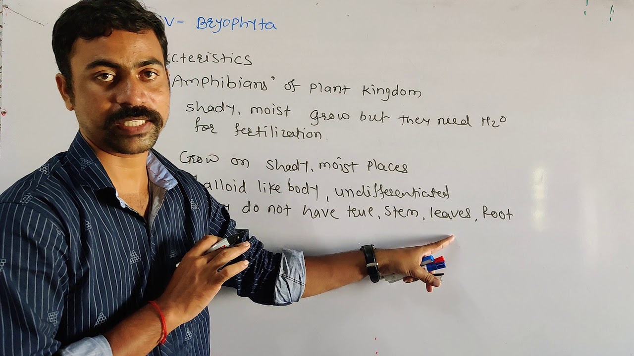 Bryophyta/Class 9 Classification of Plant/Cryptogamae classification/characters of bryophytes part 4