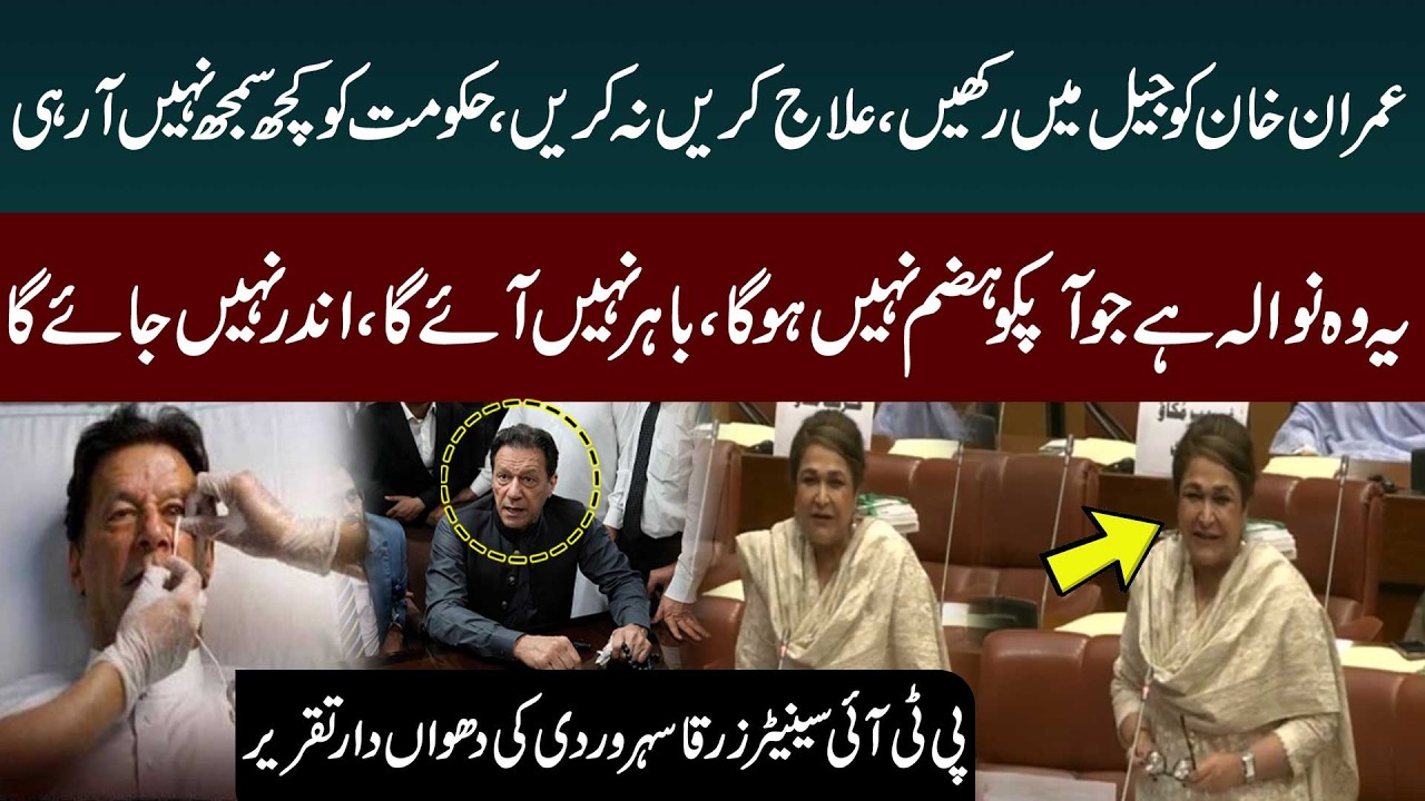 PTI Senator Dr. Zarqa Blasting Speech In Senate Session | Imran Khan in Jail | Public News