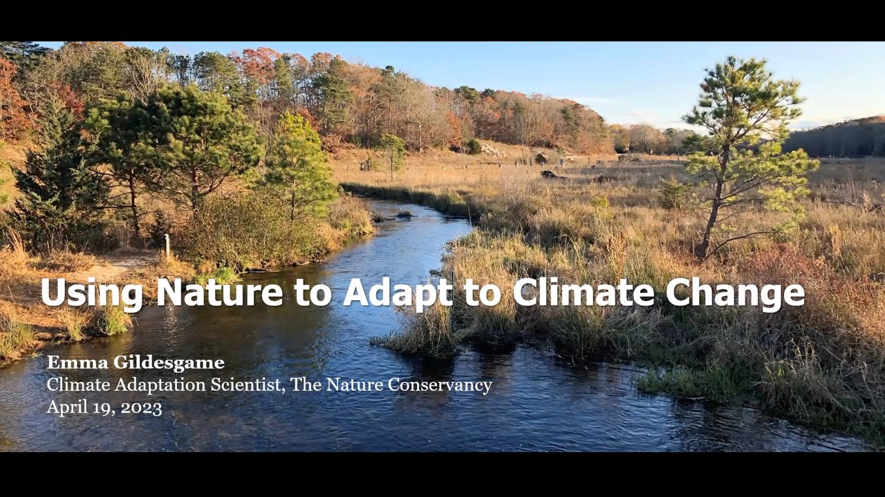 Using Nature to Adapt to Climate Change with Emma Gildesgame from TNC