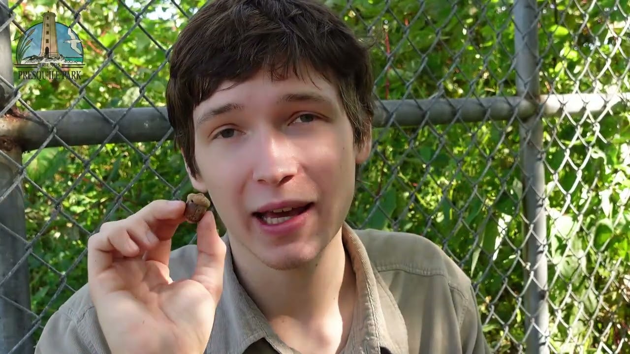 Chapter 3   The Humble Acorn [Presqu'ile Nursery and Tree Planting Program]