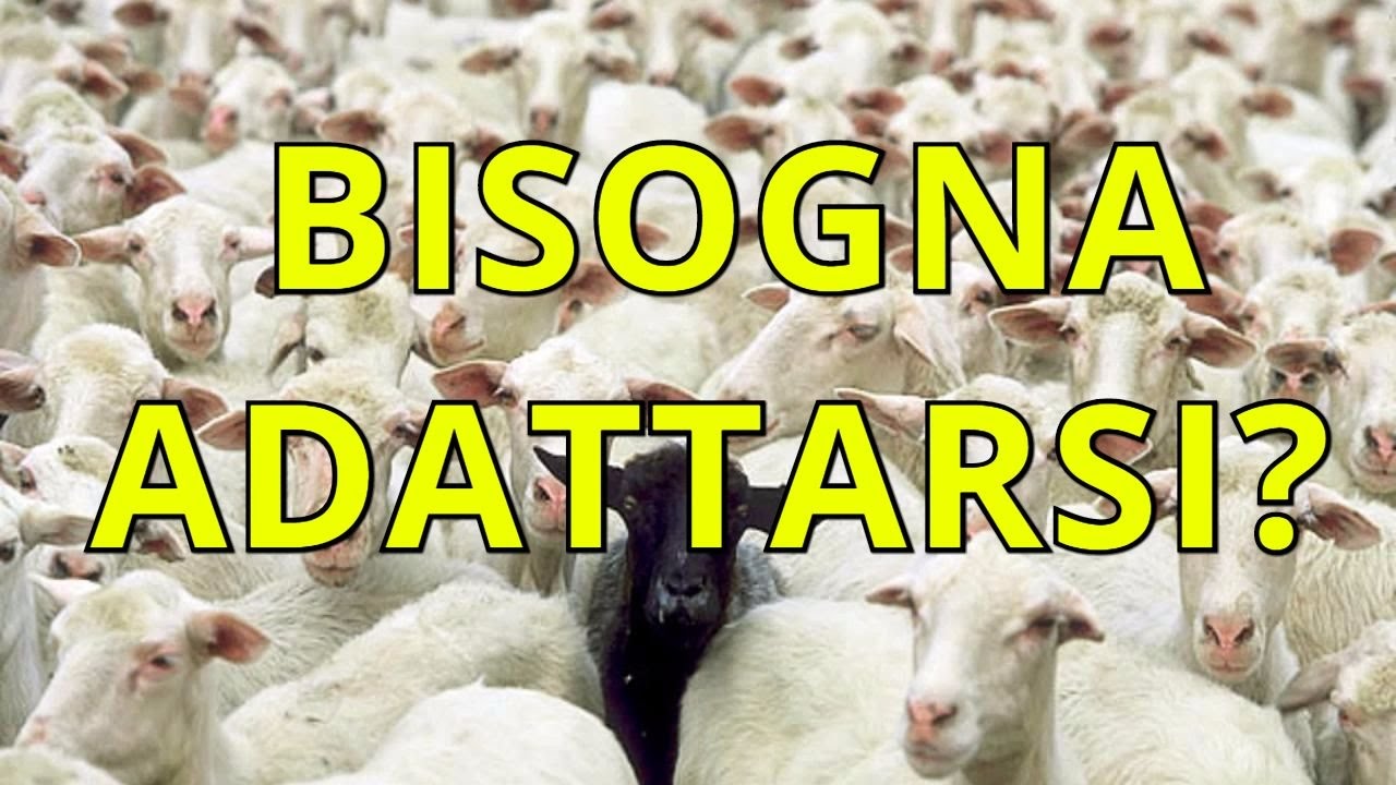 BISOGNA ADATTARSI ALLA SOCIETA'?