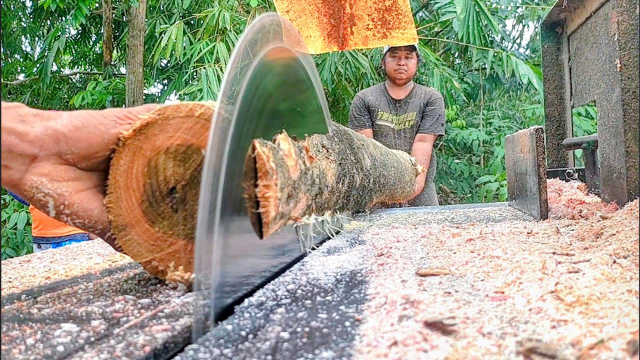 BELUM BER UMUR !! Penggergajian kayu jati - mesin serkel rakitan