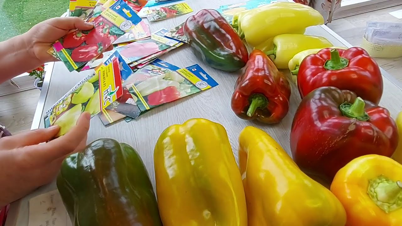 Про сладкий перец! Что сажала! Что понравилось!