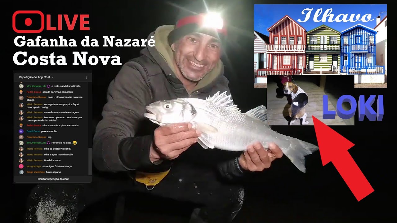 Pesca Surfcasting Gafanha da Nazaré, Ílhavo, direto! PRAIA Costa Nova, pesca 2023 Surfcasting 2023