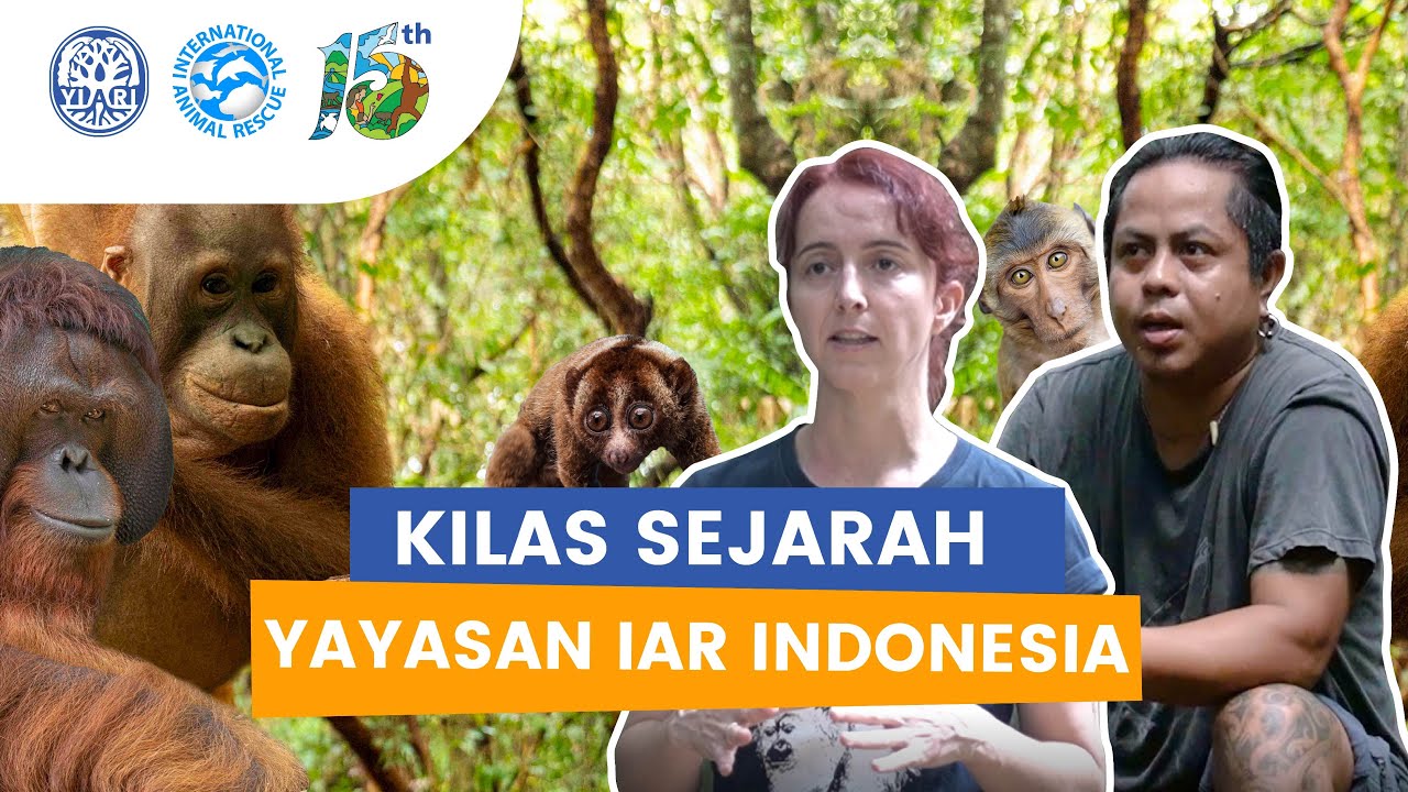 Kilas Sejarah Yayasan IAR Indonesia