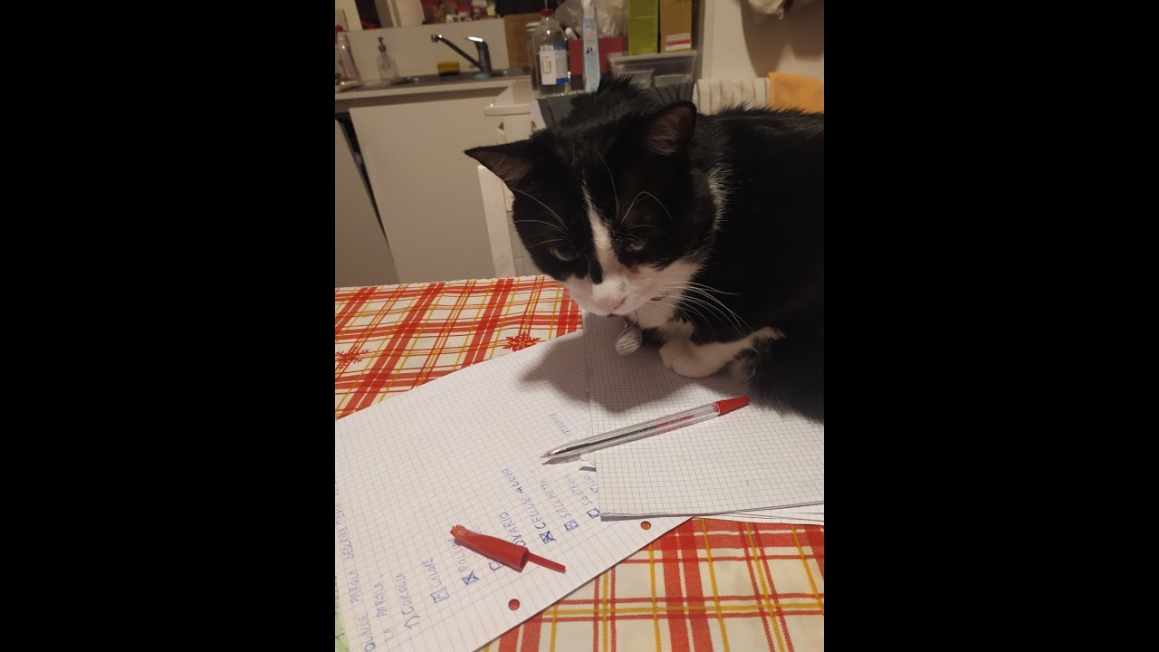 1 Media: problemi con le espressioni matematiche 4