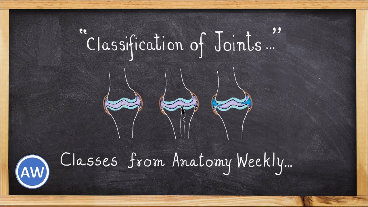 Classification of Joints || Classes from Anatomy Weekly || Anatomy Weekly Episode - 15