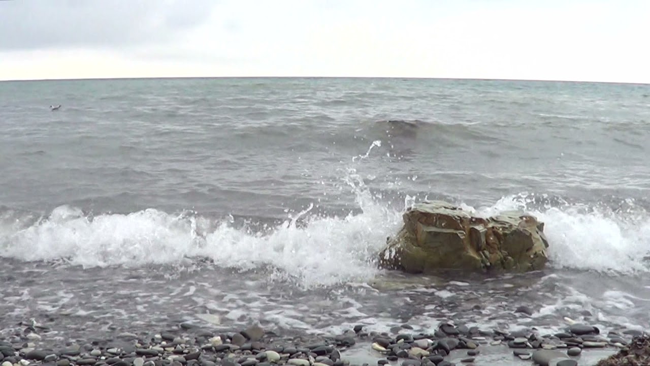Sea Sounds