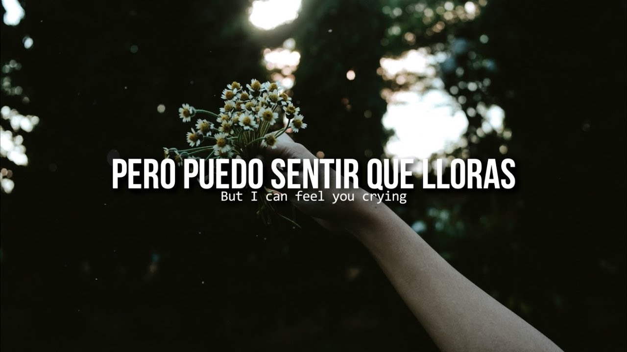 Diana • One Direction | Letra en español / inglés