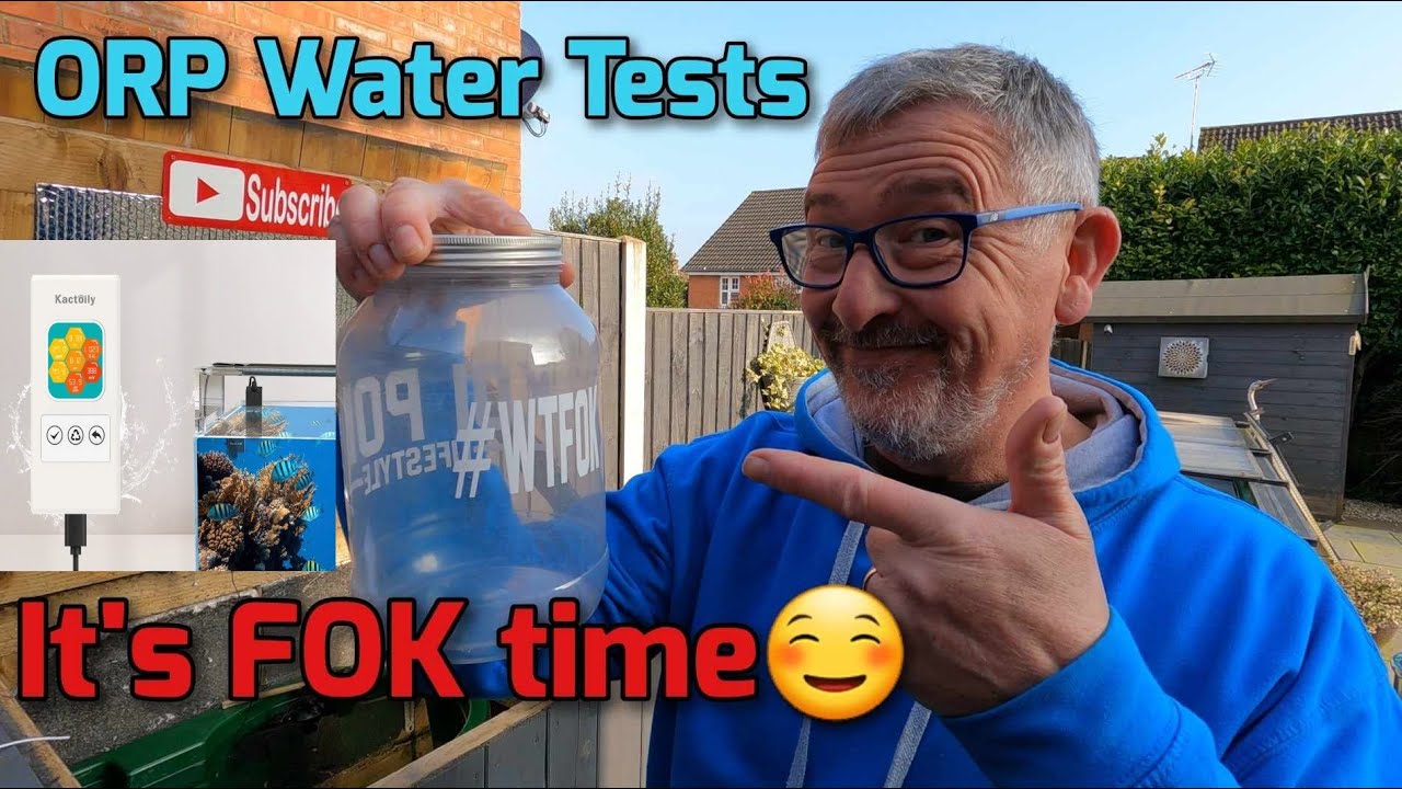 FIRST TIME MONITORING KOI POND ORP** WHAT IS ORP AND HOW DOES IT WORK🤔*TIME FOR A DOSE OF FOK😁*