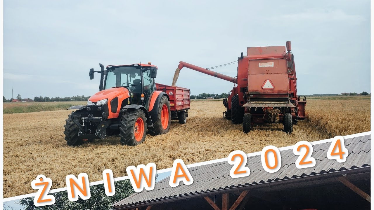ŻNIWA 2024☆Jęczmień Ozimy☆BIZON Z056☆DŹWIĘK SILNIKA POLSKIEJ LEGENDY☆ Agrorol MF☆