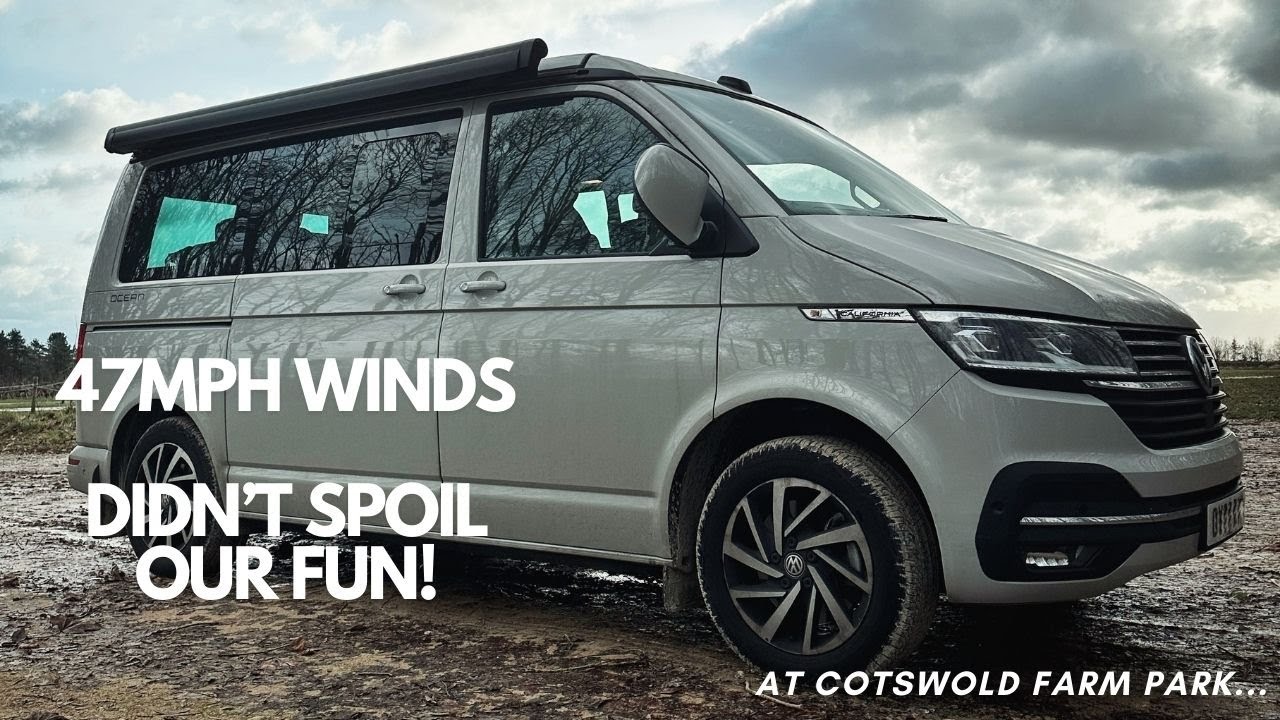Windy Winter stay in our VW California Ocean campervan at Cotswold Farm park