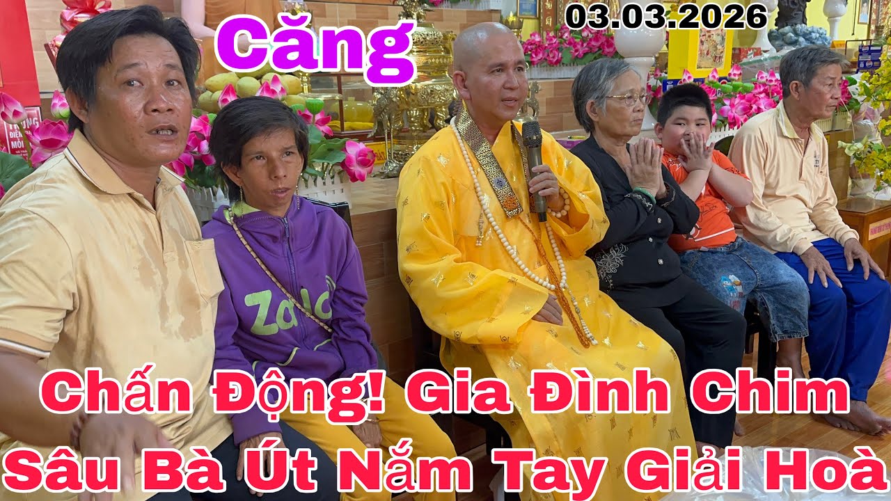 Căng! Gia Đình Chim Sâu Bà Út Bắt Tay Giải Hoà #food #yeucuocsong #giadinh #thinhhanh 