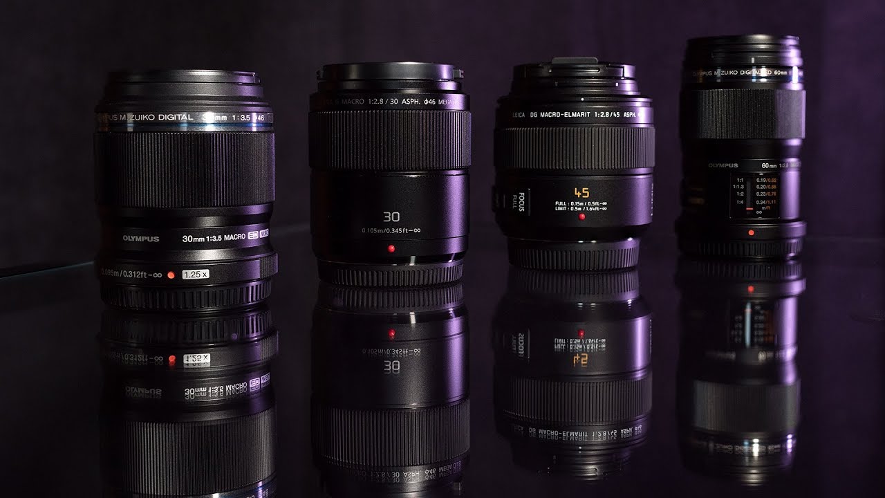 Best Macro Lens for Micro Four Thirds (4 Lenses Reviewed & Compared)