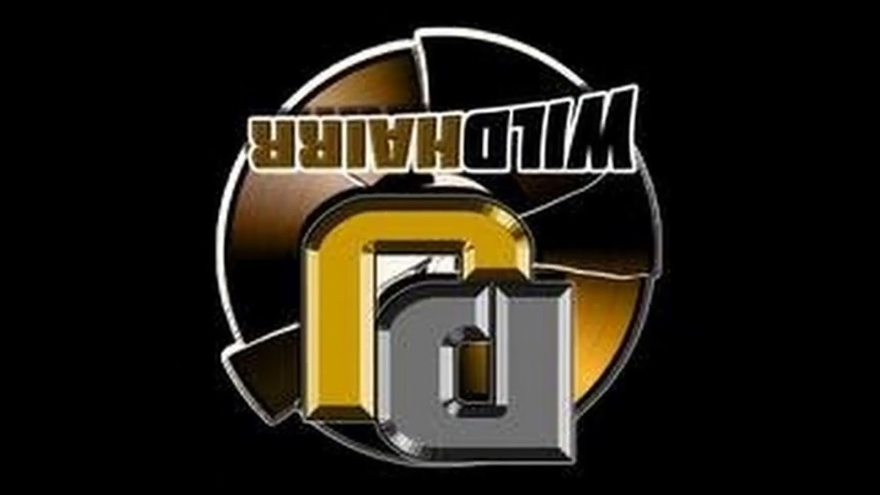 DJ WILDHAIRR Hustle & Grind Vol. 14 (mixtape)
