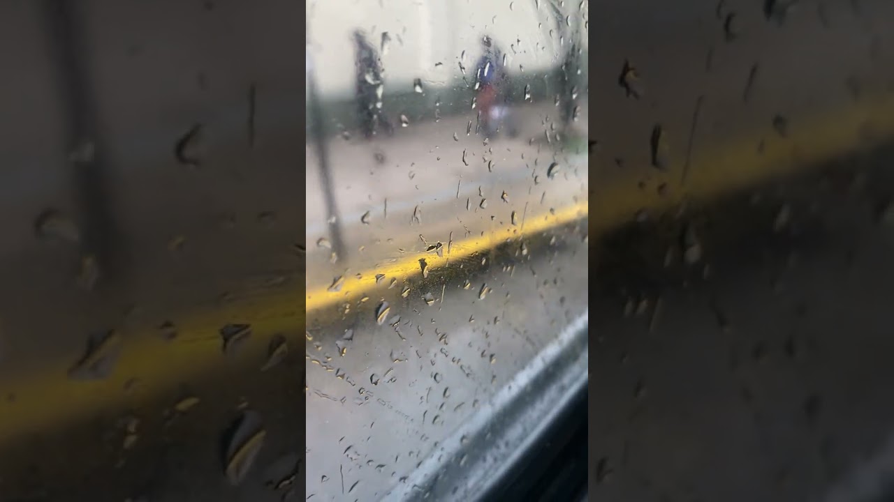 Viaje Línea 65 Interno 59 Metalpar Iguazú II OH1618