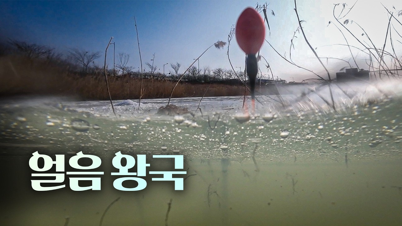 1년을 기다려서 겨우 두 번 즐기고 또 1년을 기다려야 하는 '초한정판' 겨울낚시! ... 빙판에서 만끽하는 동심의 세계! 핫플레이스 당진 석문수로 얼음낚시 대박조행기