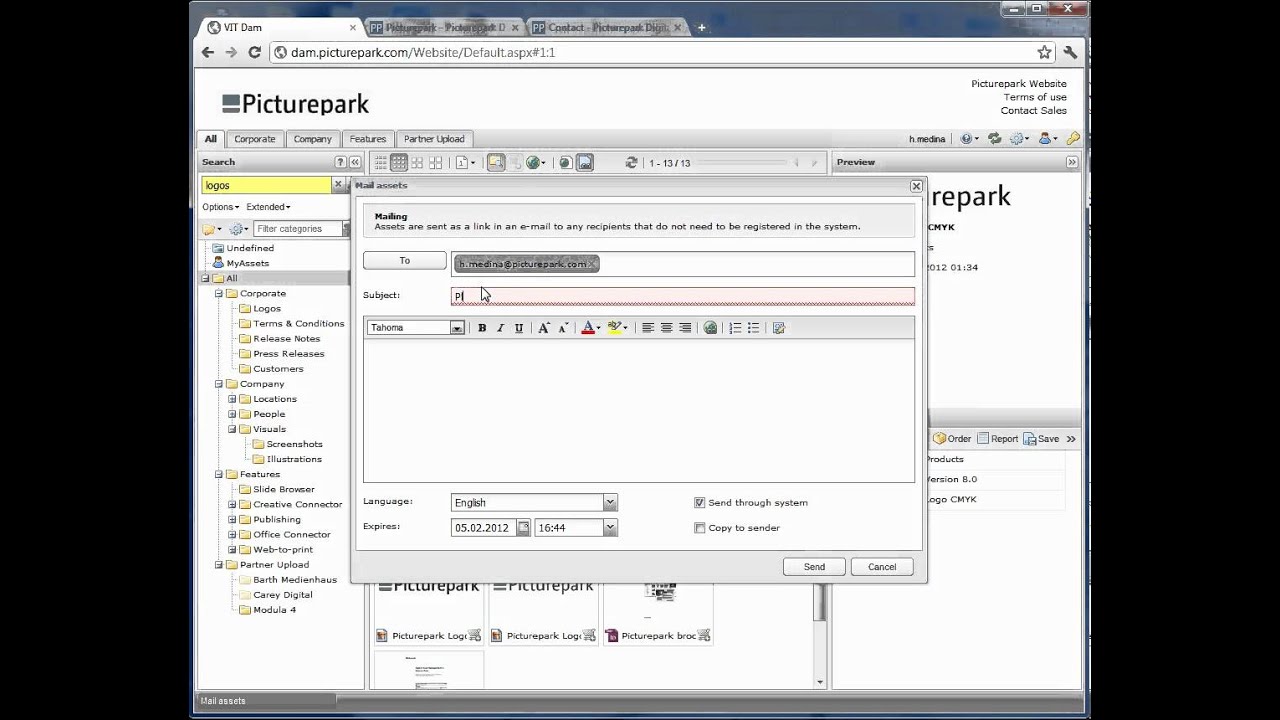 Digital Asset Management: Digital Asset Mailing via Picturepark DAM