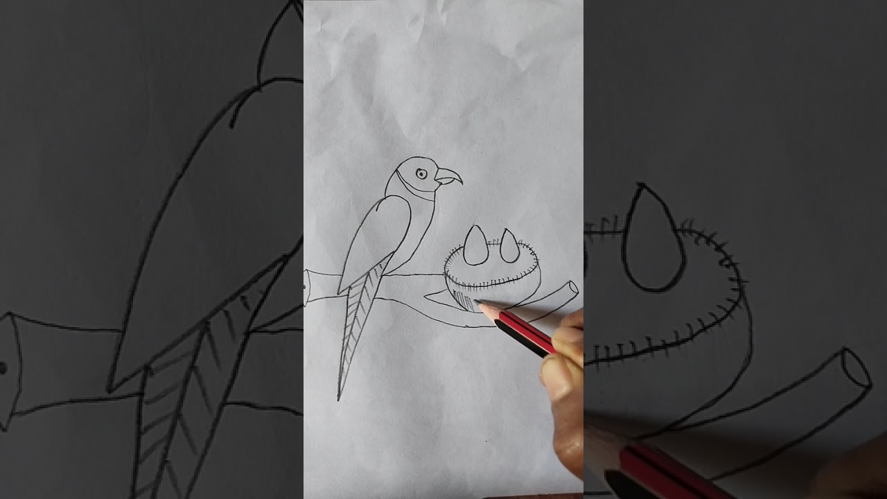 Parrot Drawing Use Pencil colour ||🦜 Parrot easy drawing #parrotart #viraldrawing