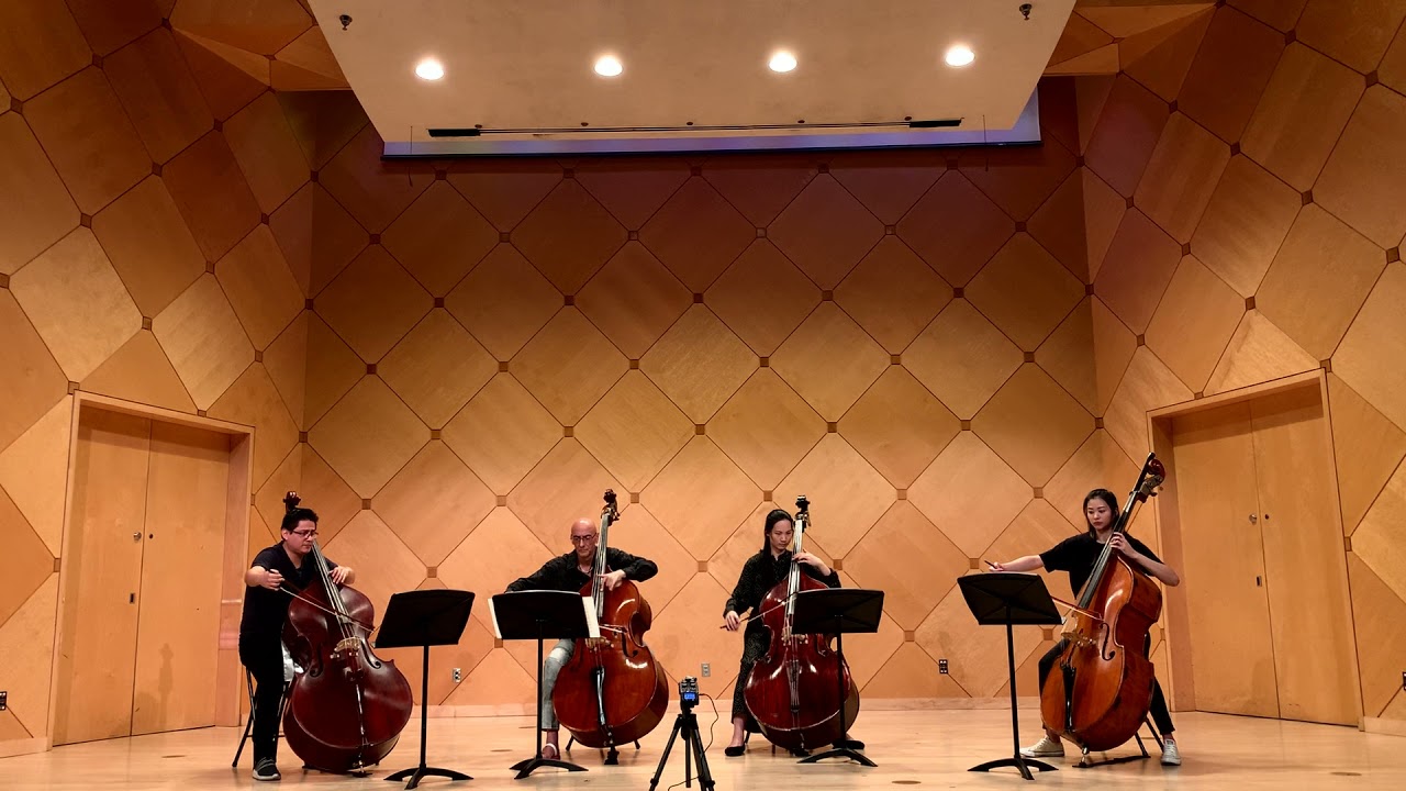 Tchaikovsky Andante Cantabile - Catalin Rotaru, Nathaniel De La Cruz, Wan-Ting Yu, Tzu-I Yang