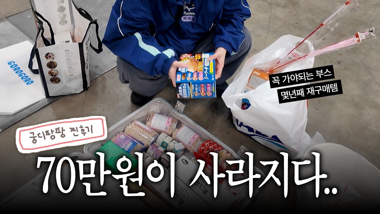 70만원으로 부산 궁디팡팡 뽕뽑기🛒 진또배기 고양이용품 다 알려드림