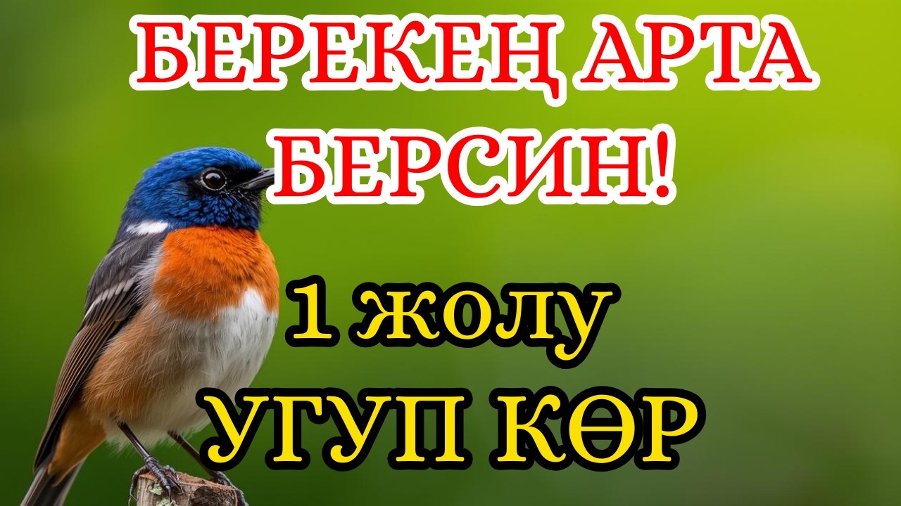 БИР ДУА ЖЕТИШТҮҮ 😭 Акча Эшиги КЕҢ АЧЫЛАТ