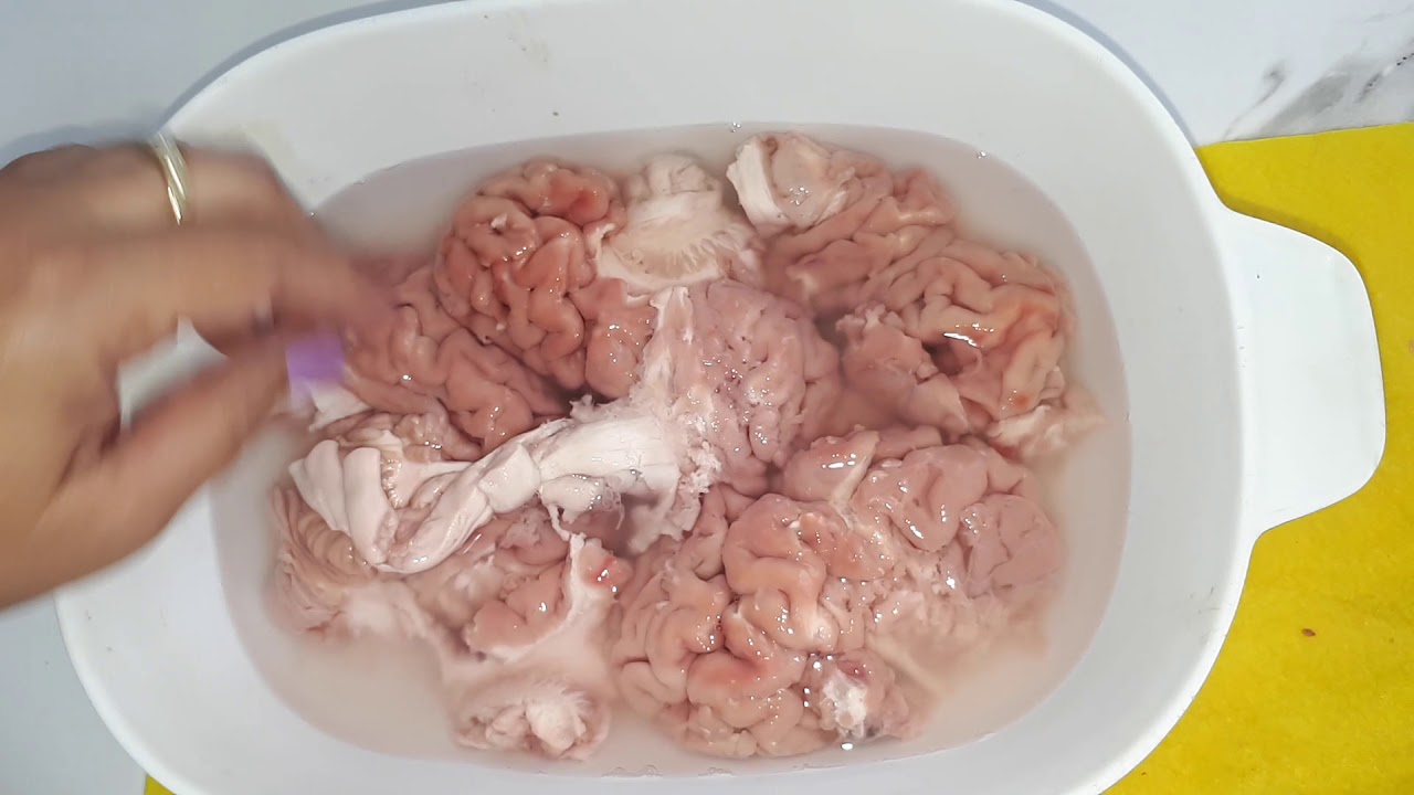 מוח בקר ברוטב