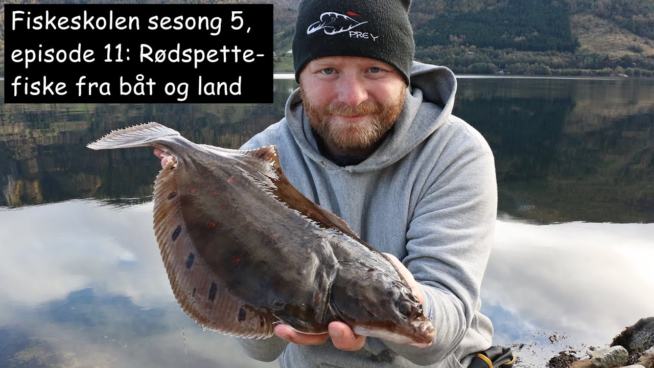 Fiskeskolen sesong 5, episode 11: Rødspettefiske fra båt og land