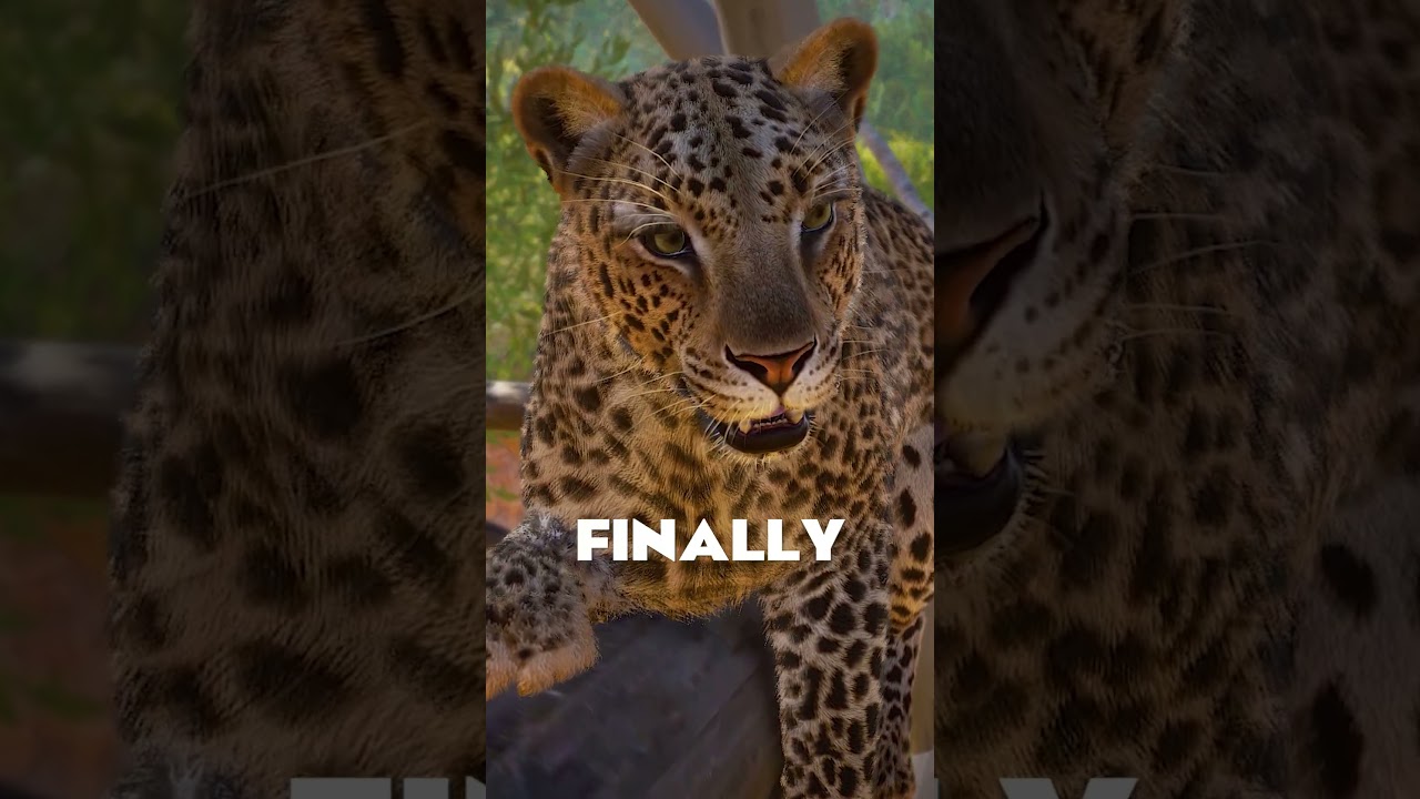 🐆 Frontier FINALLY UPDATED the African Leopard! | #Shorts #PlanetZoo