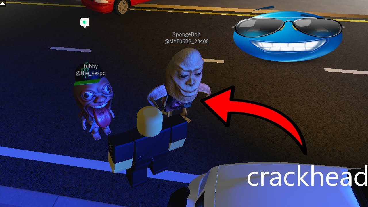 arresting crackheads in roblox erlc