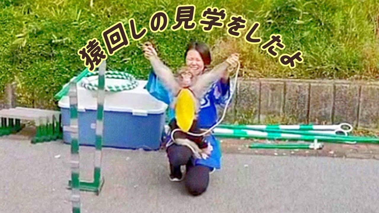 猿回しを観た日🐒🍌