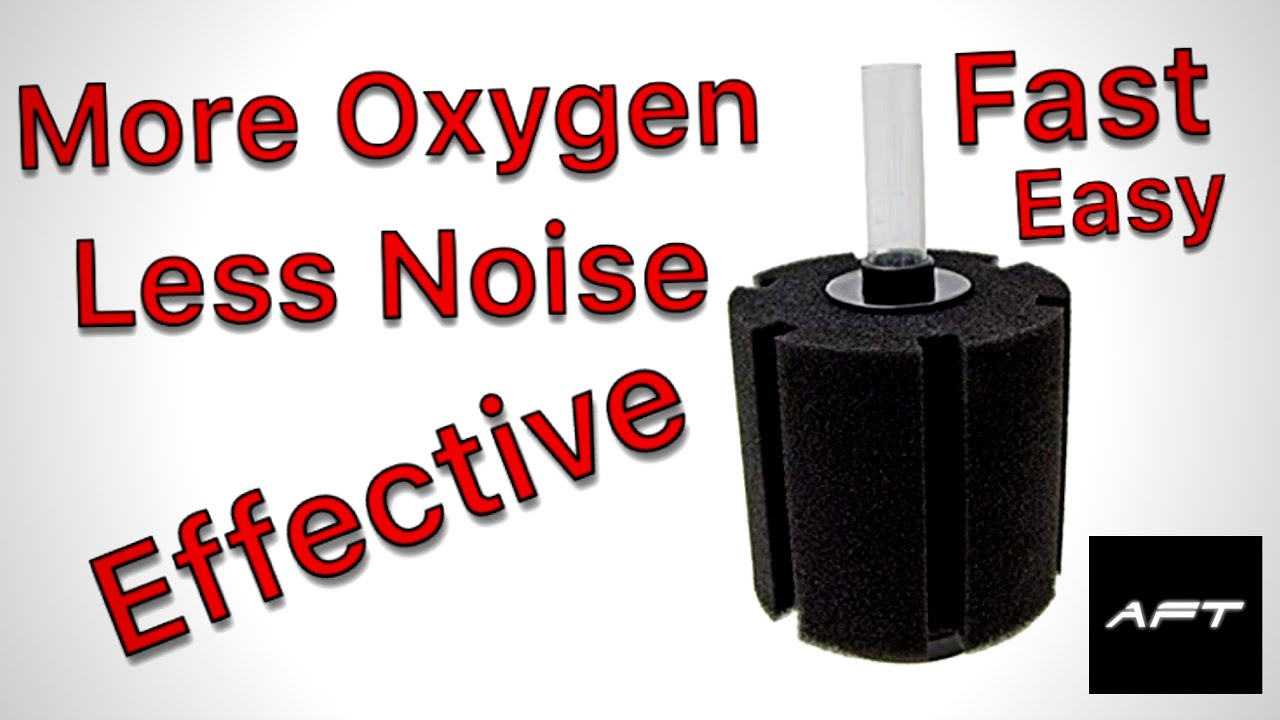 Sponge Filter Modification More Oxygen/Less Noise..