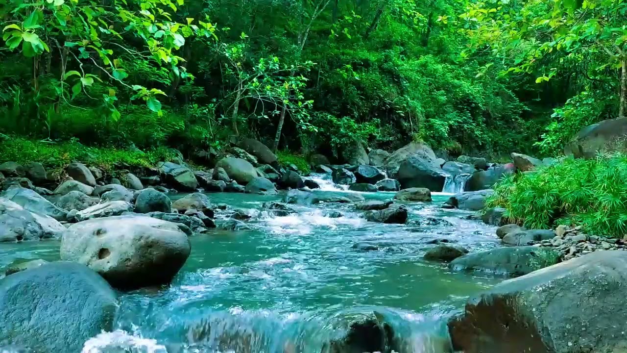 Beautiful Flowing Stream - Soothing Nature ASMR for Sleep, Focus and Relaxation, ASMR