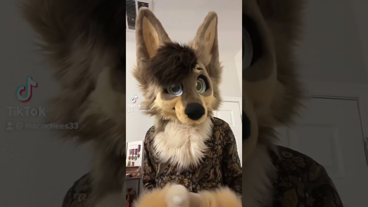 GIMME! I need my head pats! #furries #fursuit #furryfandom #fursuiter