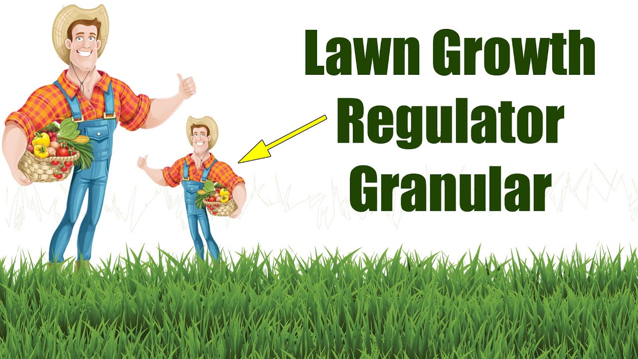 Lawn Growth Regulator - Easy to Use Granular